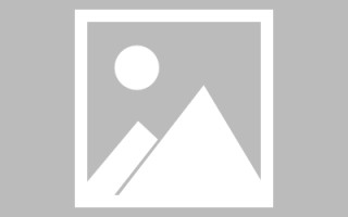 银川斑马网站高清素材视频（斑马视频最新版）